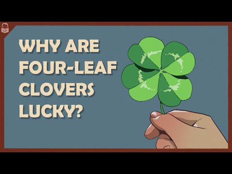 Why are Four-Leaf Clovers Lucky? 