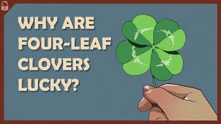 Why are FourLeaf Clovers Lucky?