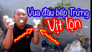 Vua Đầu Bếp Trứng Vịt Lộn - Xây Hồ Cá Đồng Bạc Tí | Son Duoc Vlogs