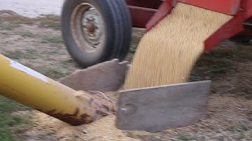 Unloading Soybean #2