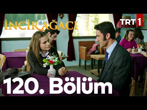 İncir Ağacı 120. Bölüm