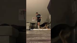 So Our Dog Does This Thing Where He Pulls My Husbands Pants Down When Hes Mad
