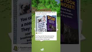 #funny  #youtubeshorts  #youtube