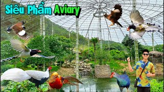 Đẳng cấp Aviary SIÊU TO KHỔNG LỒ rộng 1500m2 bố trí tuyệt đẹp và nhiều loài động vật || Đạt Bird TV