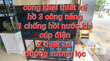 Công khai hệ ống hồ 3 công năng/aquarium design vt