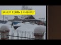 22 января - первый посев томатов. Ольга Чернова.