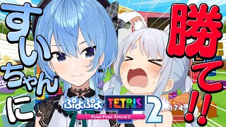 【ぷよテト2】星街すいせいにテトリス勝ったら告知!!!!!!!!!!!ぺこ!【ホロライブ/兎田ぺこら】