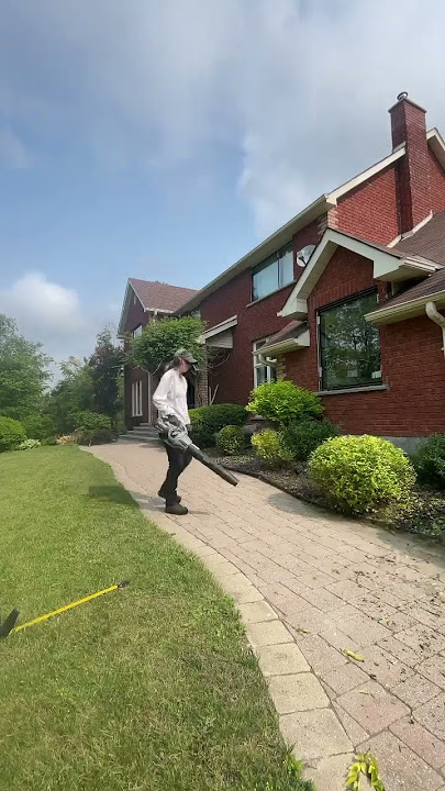 Using the EGO blower 💨 #gardencleanup #blower