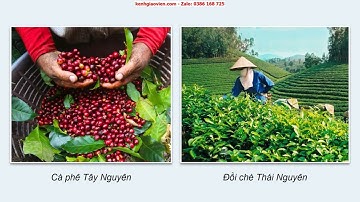 Giáo án PowerPoint Bài 10 - Tiết 1: Vấn đề phát triển nông nghiệp.. | GA điện tử Địa lí 12 cánh diều