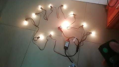 Eady Outdoor Dimmer for String Lights