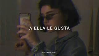 J Balvin - Safari (Letra / Lyrics) Olvidar está rola ¡Jamás!