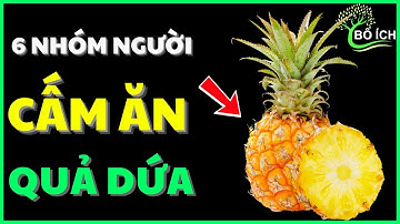 Cảnh Báo: 6 Nhóm Người Cực Nguy Hiểm Khi Ăn Quả Dứa - kênh sức khoẻ bổ ích