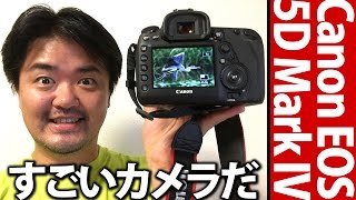 すごいカメラだ！Canon EOS 5D Mark IV 実写作例あり！飛びもの・動きものOKの高性能AFが柵越しの被写体も放さず追う！キヤノン デジタル一眼レフカメラ