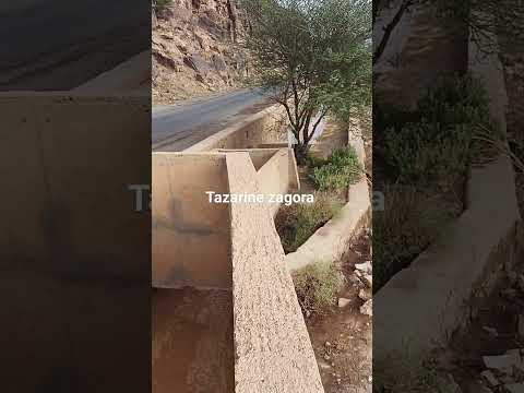 شاهد كيف يحيي الله الأرض بعد موتها سبحان الله العظيم