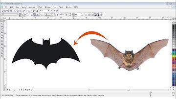 Corel draw Tutorial - Professional Bird Logo Design - Rk
