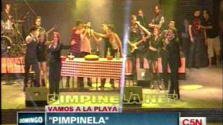 Pimpinela en Mar de Plata 11-01-2013