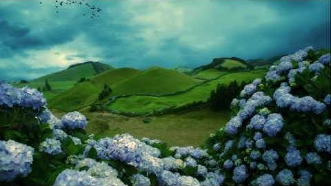 سبحان من خلق هذا الصوت مشارى العفاسى تلاوة من سورة طه HD