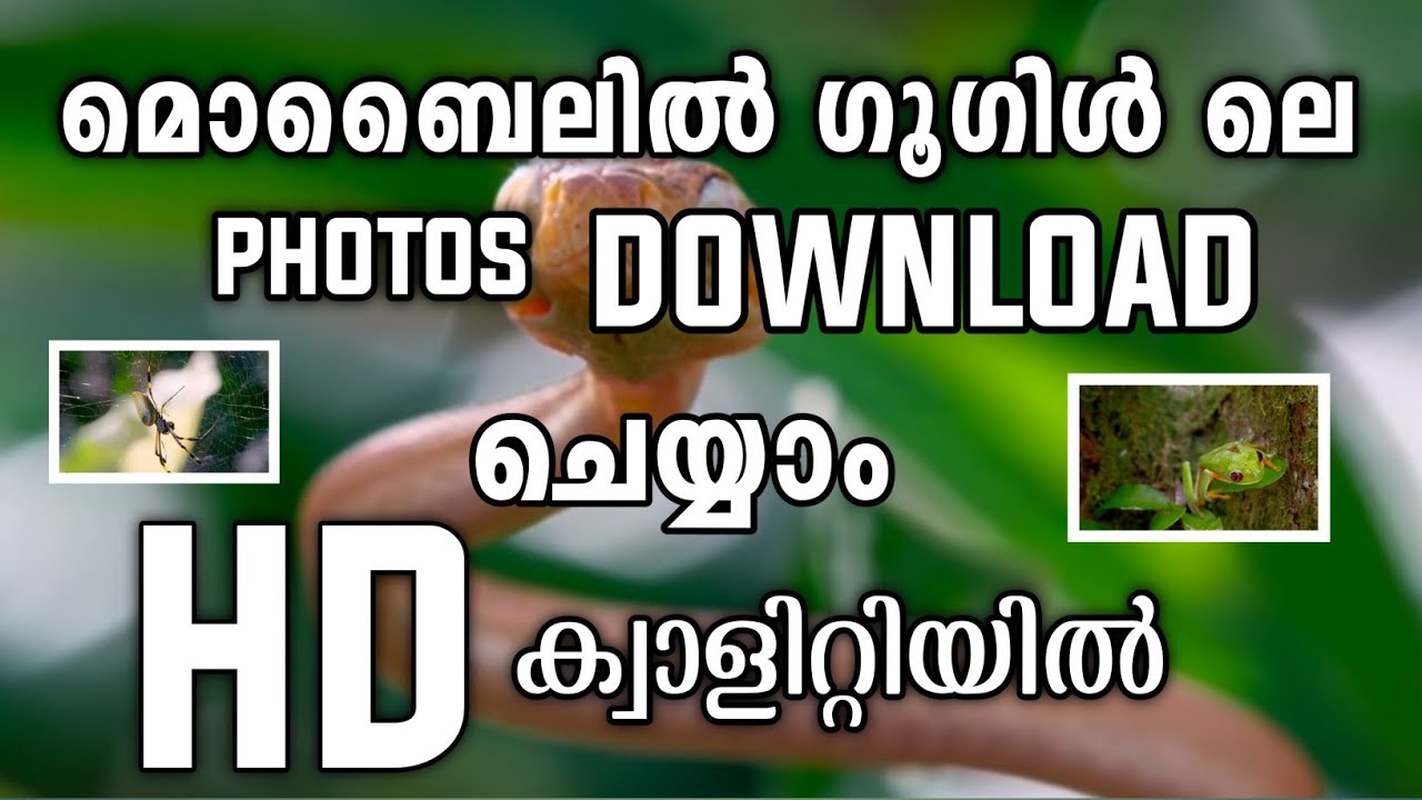  How to Download HD images from Google || Download HD Images || Malayalam