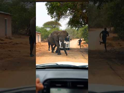 'You Won’t Believe This in Just 15 Seconds! 😱🔥 #Shorts #Viral #MustWatch'