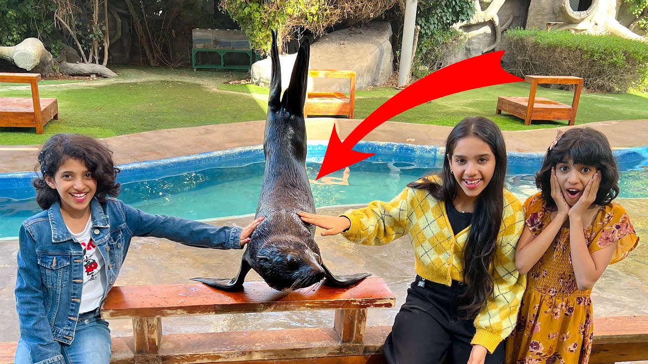 24-часовой челлендж в зоопарке: Шафа, Газаль и Рим съели всех животных! Зоопарк Emirates Park