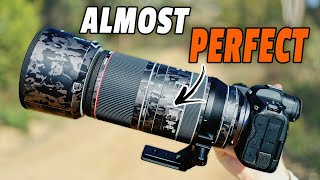 Canon RF100-500mm f7.1 REVIEW for Wildlife: Too EXPENSIVE?