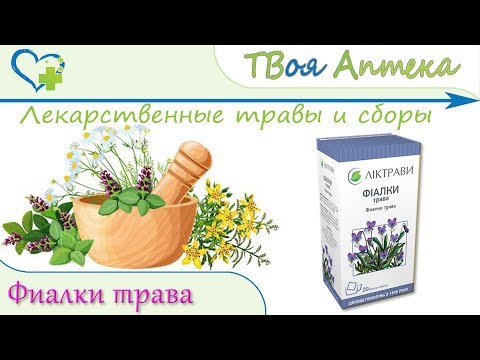 Фиалки трава -