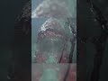 Can you Kill a Gravemind halogame haloinfinite gaming 