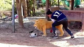 Aluminum Box vs Prank Dog Very Funny - Must Watch Funny Comedy New Prank With Try To Stop Laugh