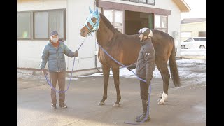 オジュウチョウサン故郷に帰る