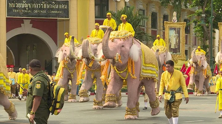 Elephants pay homage to Thailand's new king