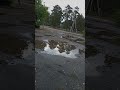 Село Глядянское, по пути в Сосновую рощу.