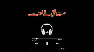 Munafiq Ty Lanat New Song Slowed & Reverb 2024