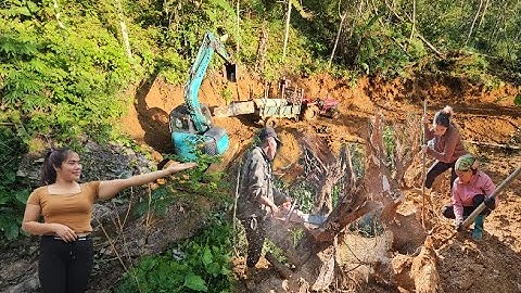 Graafmachines en binh oogsten samen met de boer de oude bomen. Hoewel het vermoeiend is, is het l...