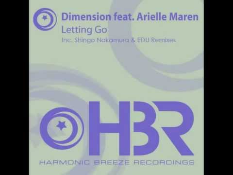 Letting Go  ft. Arielle Maren