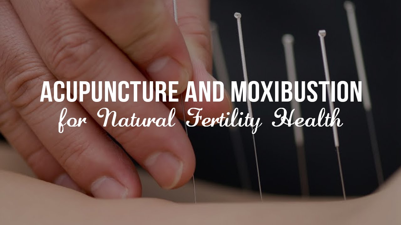 Acupuncture and Moxibustion for Natural Fertility Health YouTube