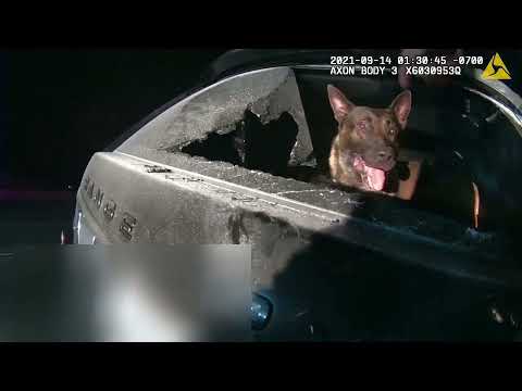 San Diego Police K9 Bite