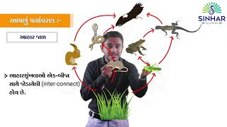 Std 10 Ch 15.3 Our Environment - Food Chain and Food Web