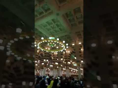 وهل هناك جوار أطيب من جوار الحبيب عليه الصلاة والسلام اللهم جواره وصحبته ورفقته