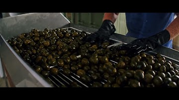 The process to make Coaldale pickled walnuts