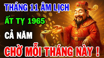 Tử Vi Tháng 11 Âm Lịch 2025 Tuổi Ất Tỵ 1965 | Thời Vận Mở Lối, Thành Công Viên Mãn