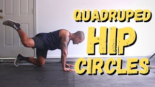 Movement Demo | Quadruped Hip Circles by ConstantlyVariedFitness 3,994 views 3 years ago 22 seconds
