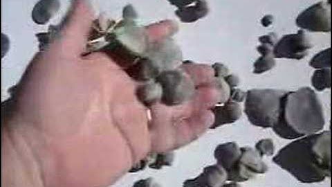 Introduction to Fossil Sea Shell BRACHIOPODS pt 2 of 4