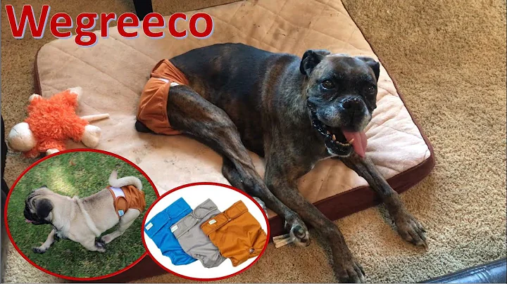 Wegreeco Washable Female Dog Diapers 3 Pack Review