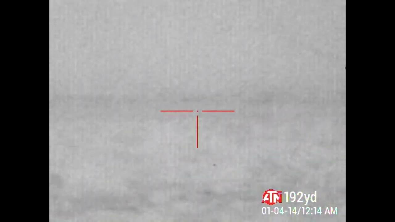 When my Atn Thermal Rifle Scope started to go bad, this is what the picture looks like. Blurry