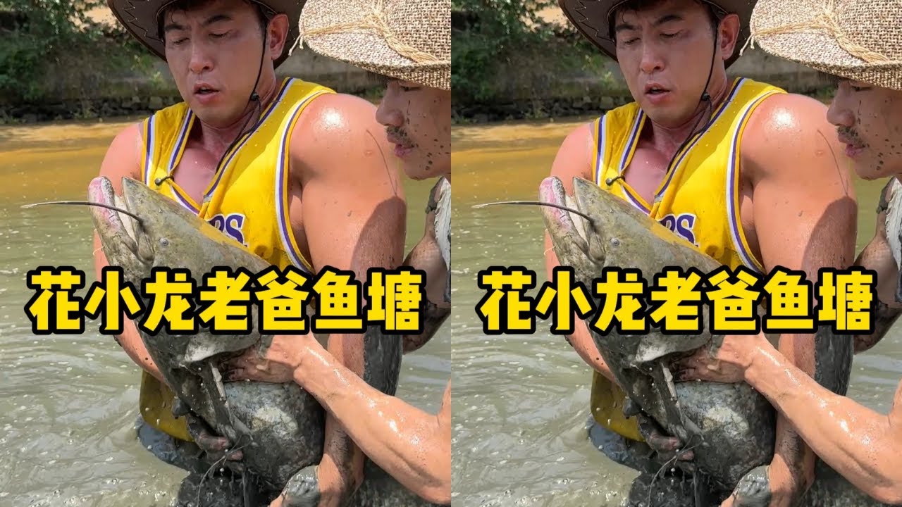 华哥花500元包下花小龙老爸的鱼塘，竟然一条鱼都没有到底是什么原因？