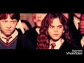 Draco and Hermiona||Неделимые