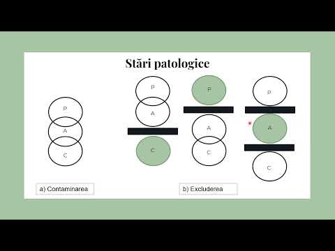 Video: Ce este analiza tranzacțională de afaceri?