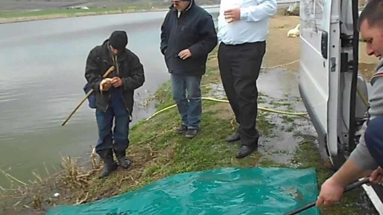 "La Sote" Ciurila, populare cu peste partea 1 12.04.2013