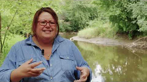 Montgomery Drain
