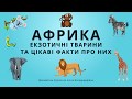 Африка. Екзотичні тварини та цікаві факти про них.